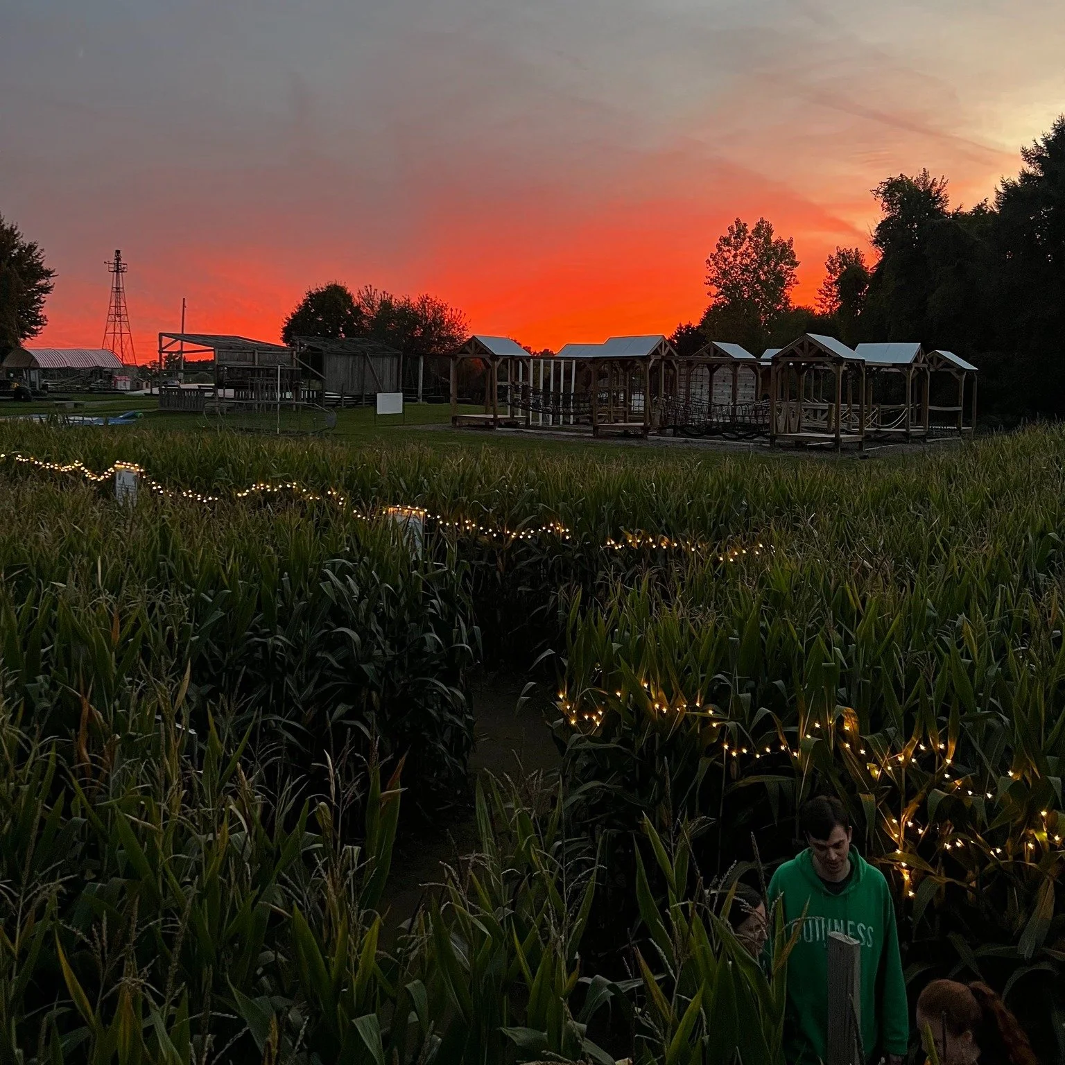 Moonlight Maze activities kick off at 5pm tonight! Be sure you grab your ticket online to reserve your timed entry.  We ask that you plan the enter the maze within your 30 minute window to help spread out the lines. However once you are in the maze y