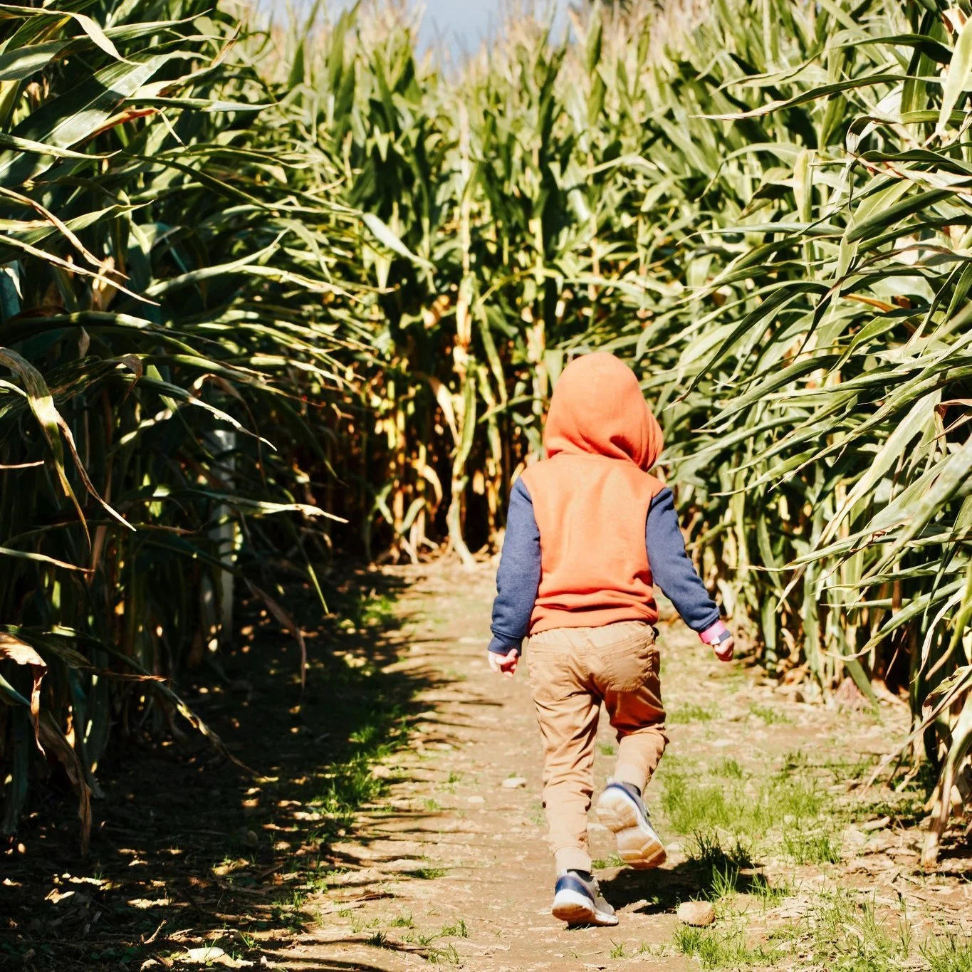 Final Sunday of the season!! All fall festival events are open today 10-6pm (last entry at 5pm). 
Our final day of the season will be next Saturday, November 1st