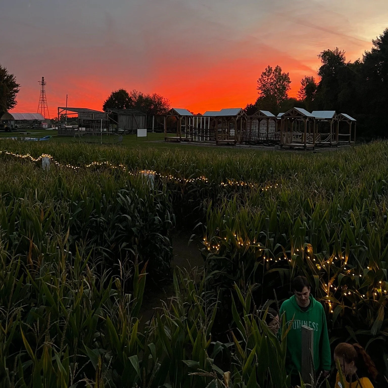 The 2025 season will wrap up this Saturday November 1st. Join us for the last fall festival of the season. 

We'll be open from 10am until 11pm, closing out the season with one final moonlight maze. Back 40 attractions close at 6pm, and moonlight maz