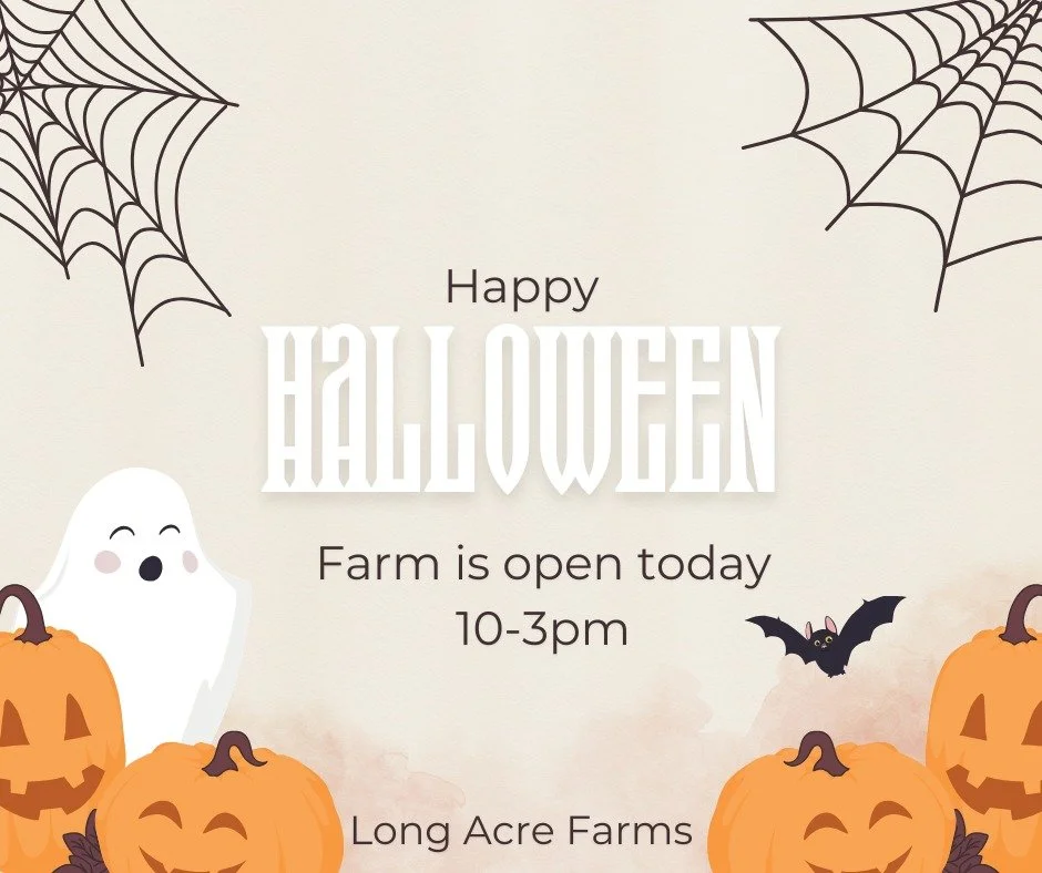 Happy Halloween!! 

The farm will close today at 3pm. Join us tomorrow for our final day of Fall Festival and Moonlight Maze fun.

Tickets online.