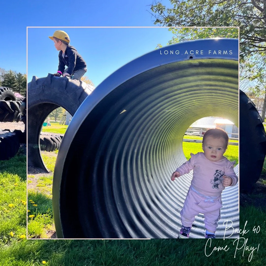 Are you ready for the 2026 season?? Don't forget to grab your season pass. 
Buy early, visit often and save!!

Pays for itself in 5 visits! And includes all fall festival weekends (when admission prices increase) as well as Friday Moonlight Maze nigh