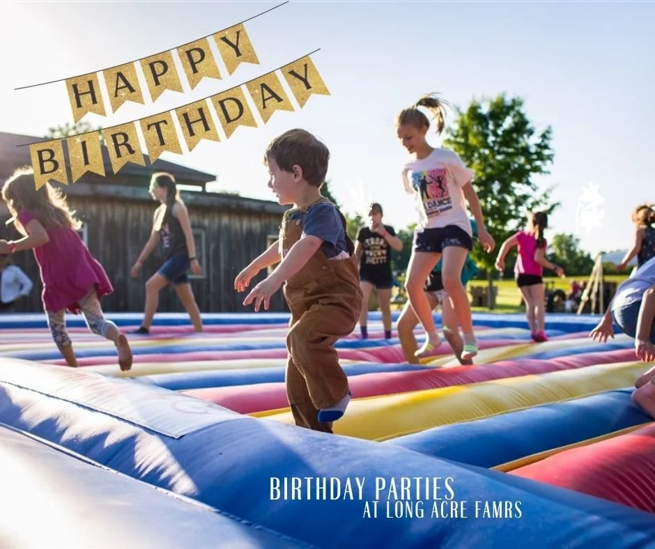 What keeps kids happiest at a birthday party.....space to run, explore, and just be kids.

With access to the Back 40 play area plus your own covered party space, there&rsquo;s always something to climb, jump, and discover. No need to plan a packed s