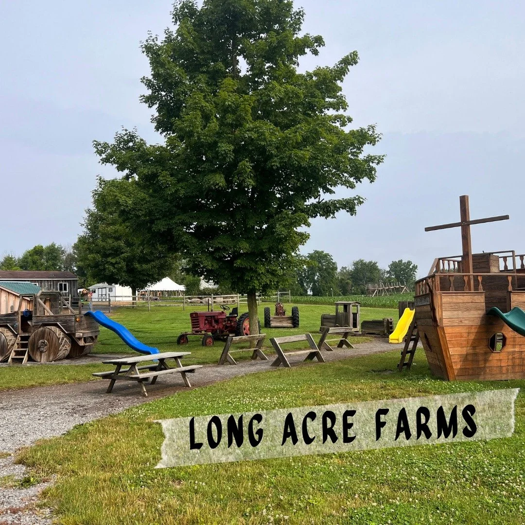 2 WEEKS until we open!!!

What are you most excited about this 2026 season?? Personally, I can't wait for warm sunny days at the farm letting my kids burn off some energy :)

Farm market, ice-cream shop and play areas will all open May 1st at 10.

Ca