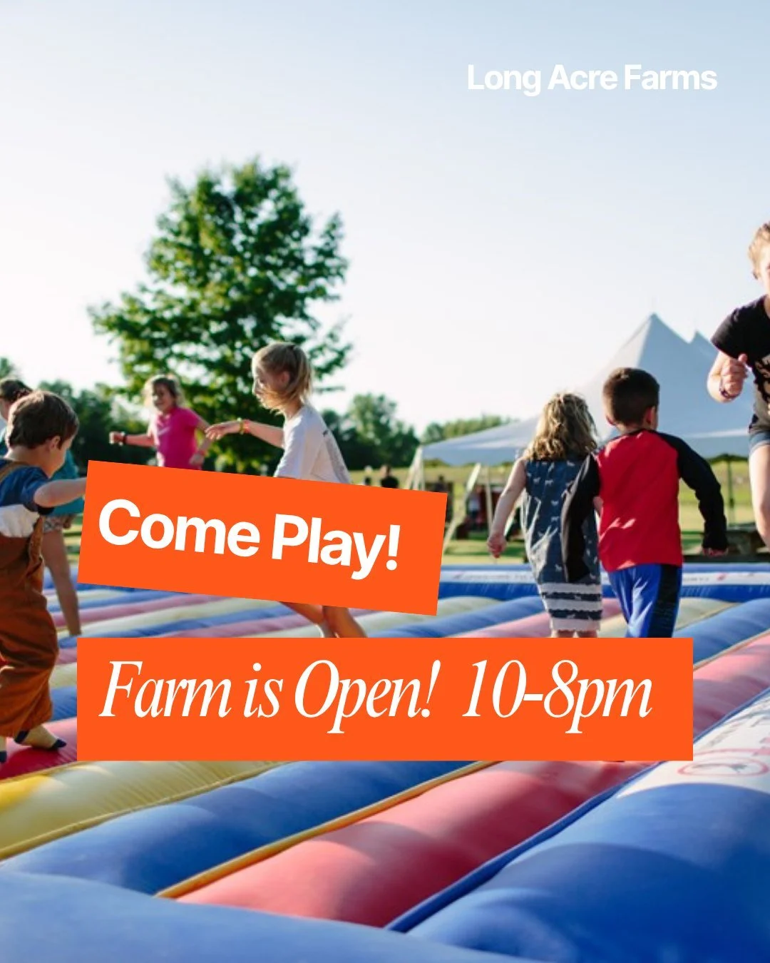 Happy Friday!! The sun is out.....kids are off school.....farm is open!

Come out and play. Open 10-8pm
Winery open 12-5pm