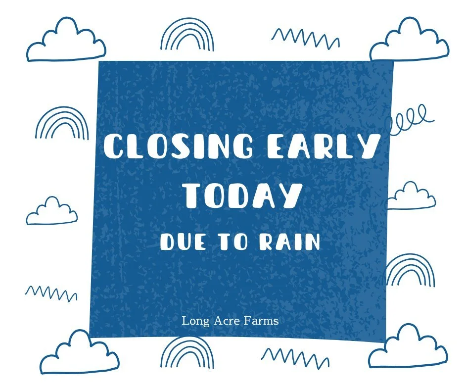Rain rain go away! Closing early at 1pm due to the rain, both farm and tasting room. 

We'll be back open tomorrow (Sunday) at 10am. 
Winery opens at 12pm.