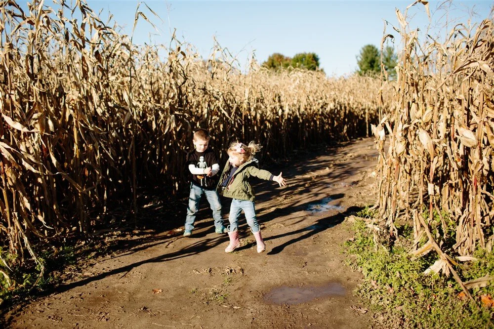 Fall Festival Activities | Long Acre Farms - Rochester NY