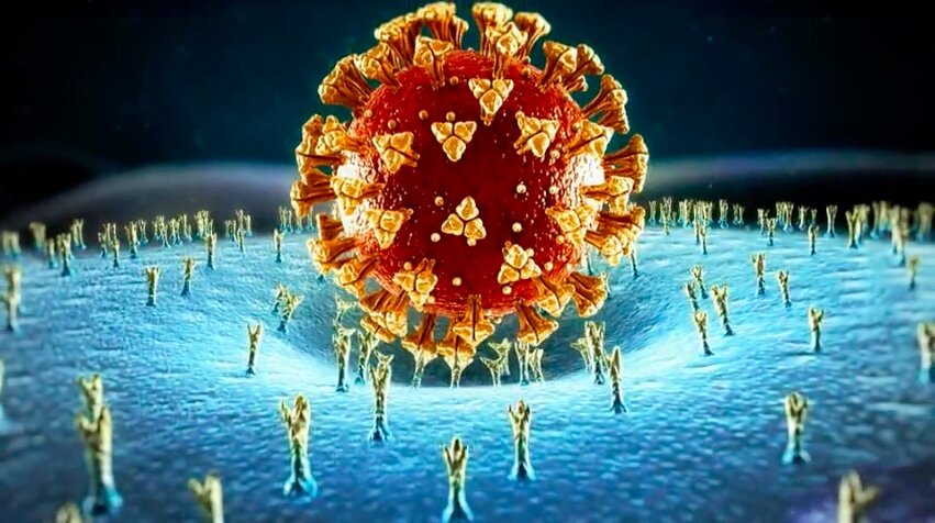 duPont 2021 Winners and Finalists Covering COVID