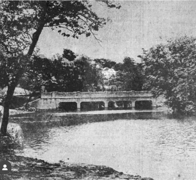 A Gateway Through Time: The 1926 Birth of Turtle Creek Park Subdivision