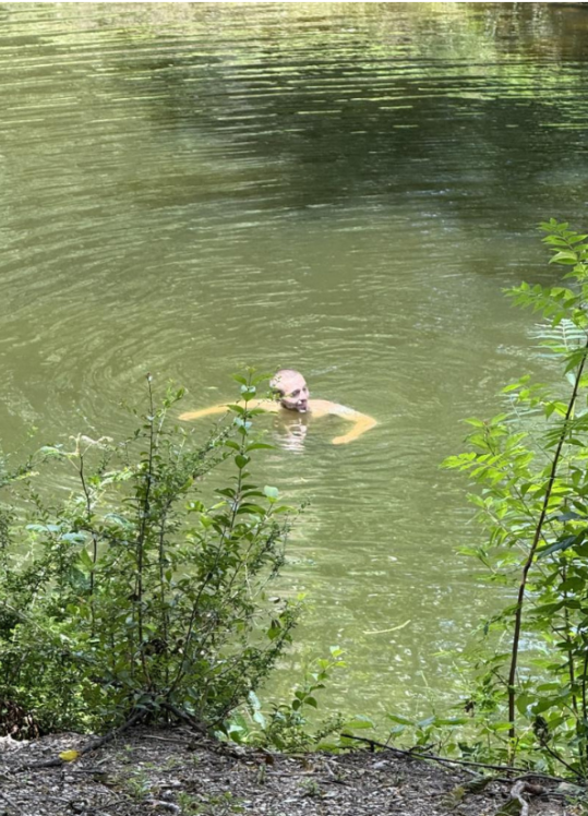 Making a Splash: Man Spotted Swimming in Turtle Creek