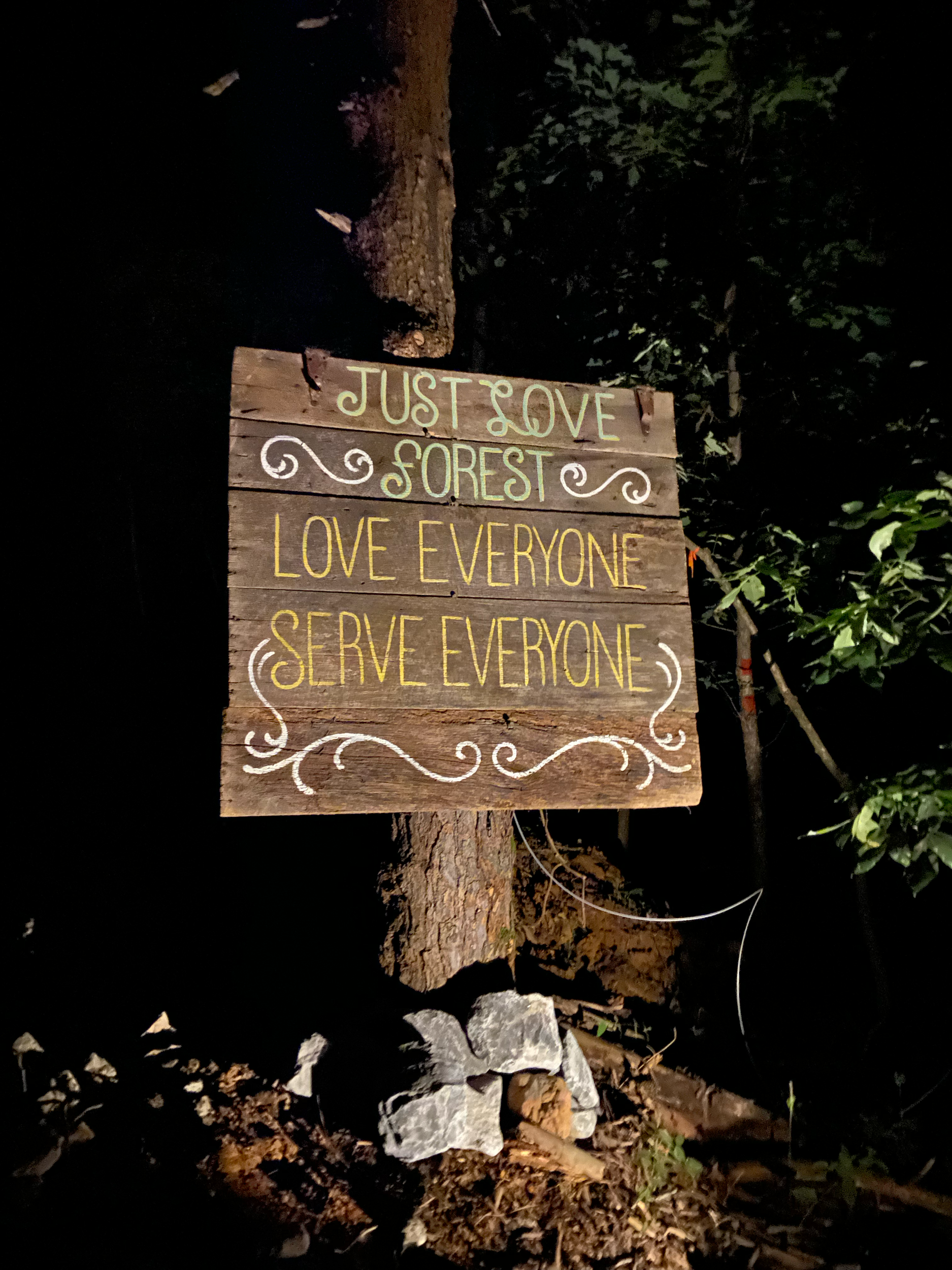 Wooden sign with painted text that says 'Just Love Save Love Save Forever One' decorated with white swirling lines, placed against a background of dark dirt, rocks, a log, and green leaves.