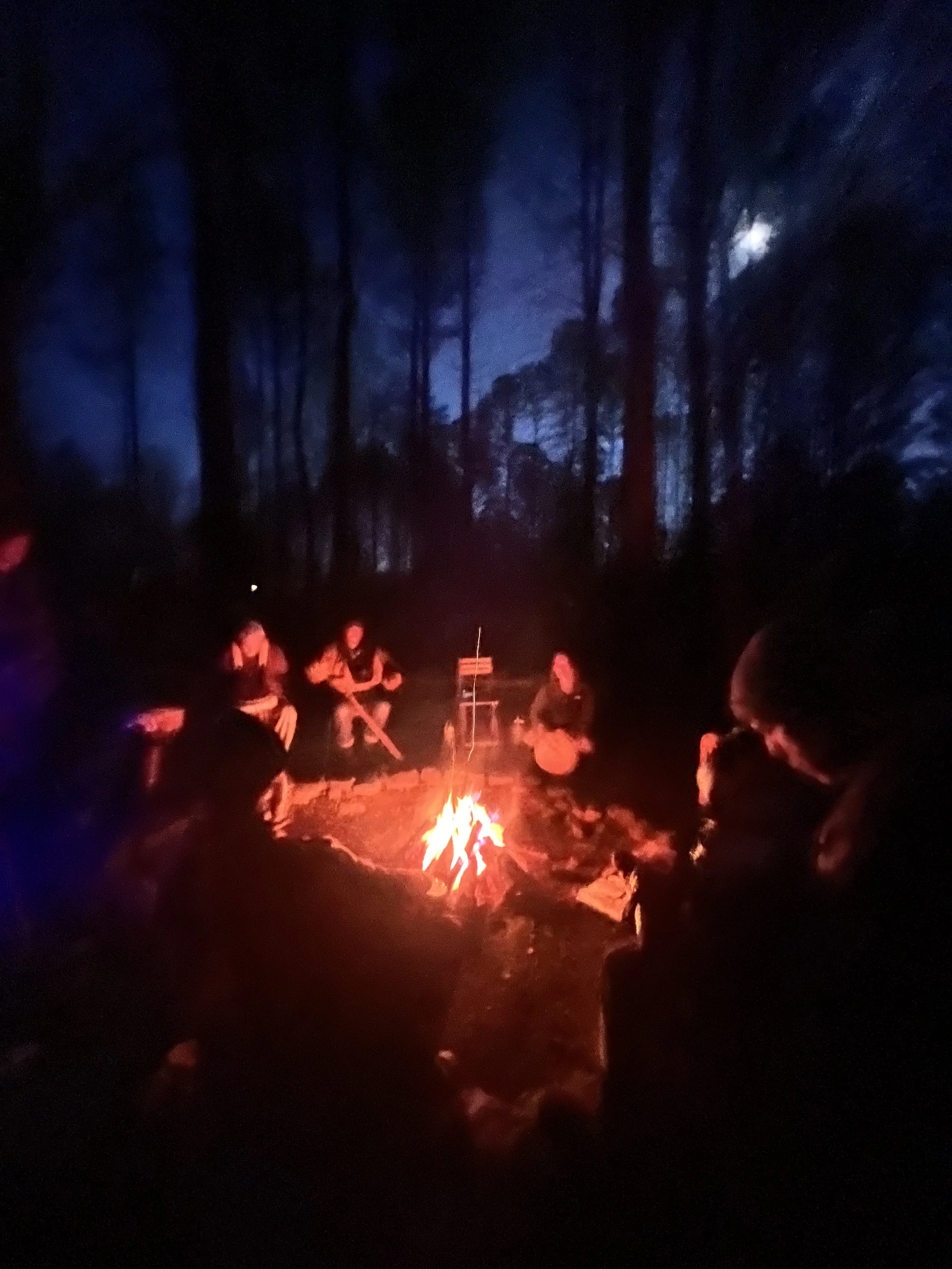 september Just Love Forest Community Weekend: Meditation, Service, Sound Circle &amp; Forest Therapy