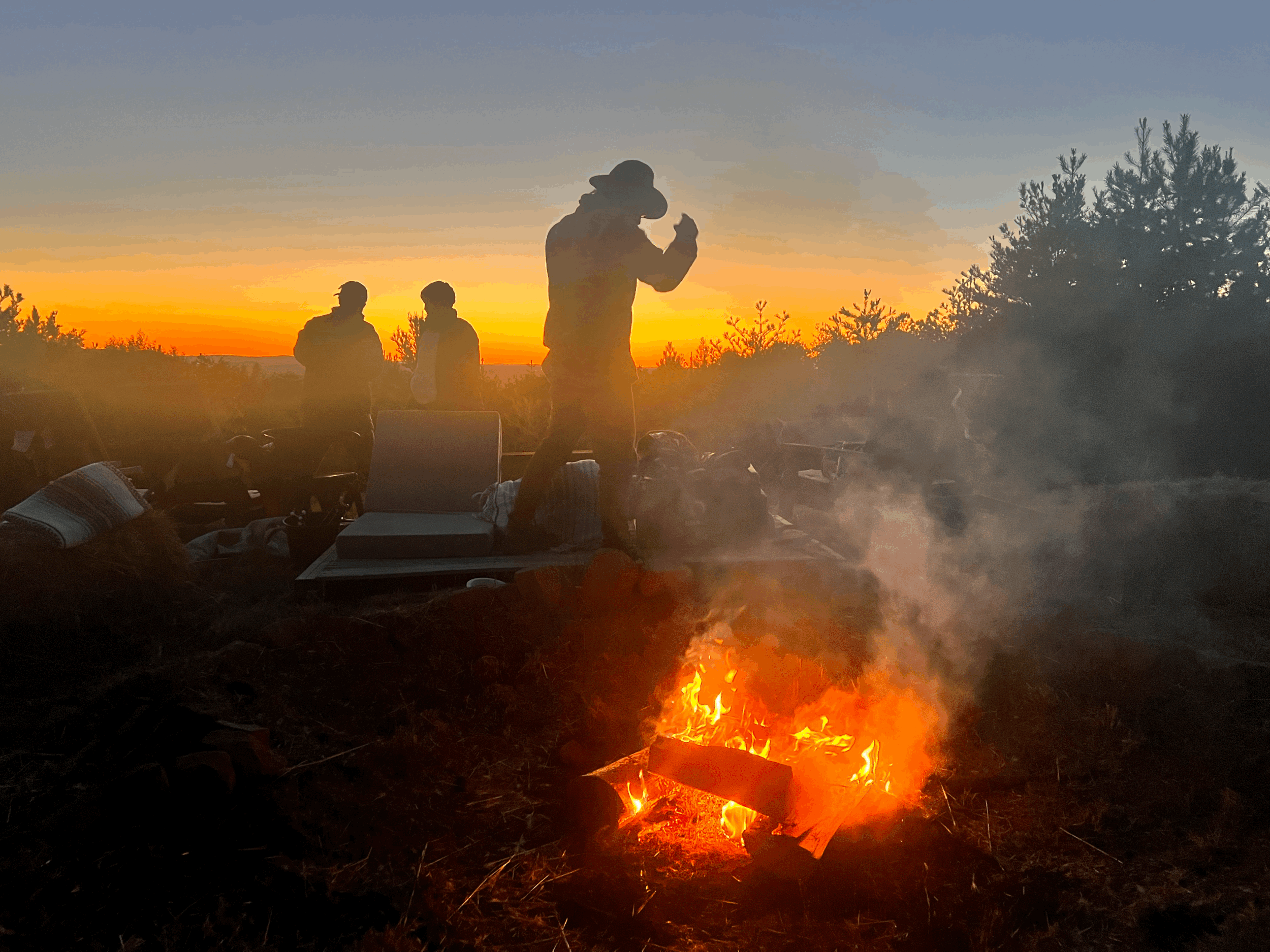 november Just Love Forest Community Weekend: Meditation, Service, Sound Circle &amp; Forest Therapy