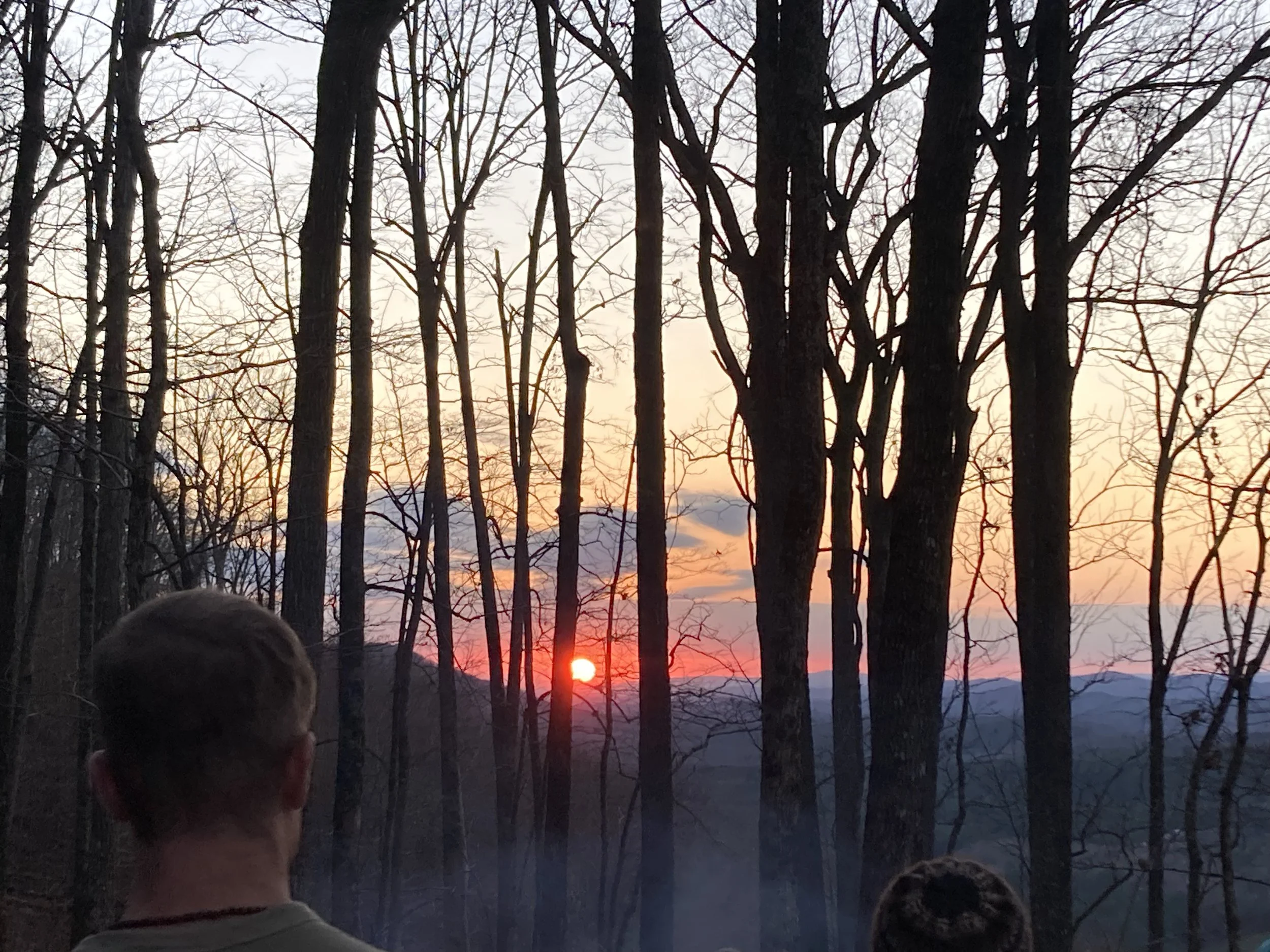 december Just Love Forest Community Weekend: Meditation, Service, Sound Circle &amp; Forest Therapy 