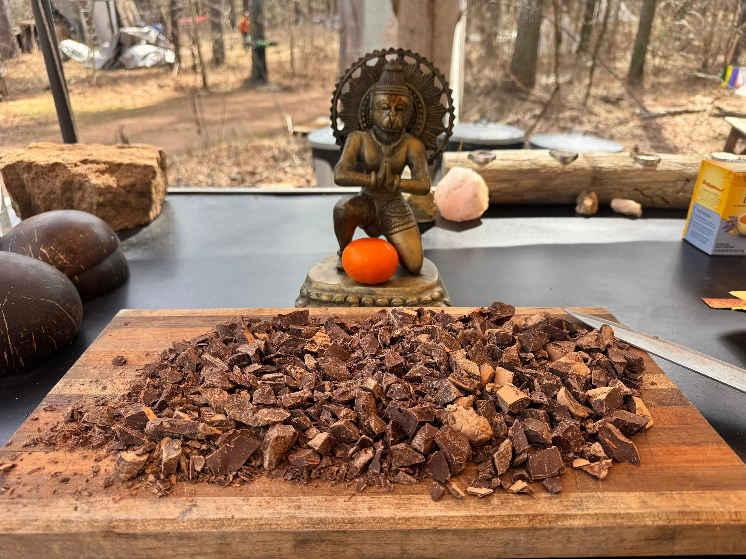 WhatsApp Image 2026-02-24 at 16.08.12.jpeg