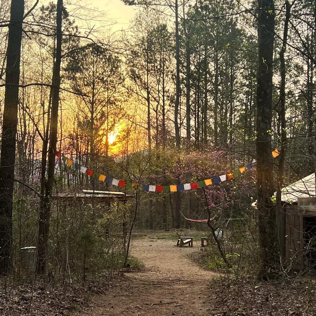 A wooded outdoor scene during sunset with a colorful string of prayer flags hanging between trees and a small wooden bench on a dirt path.