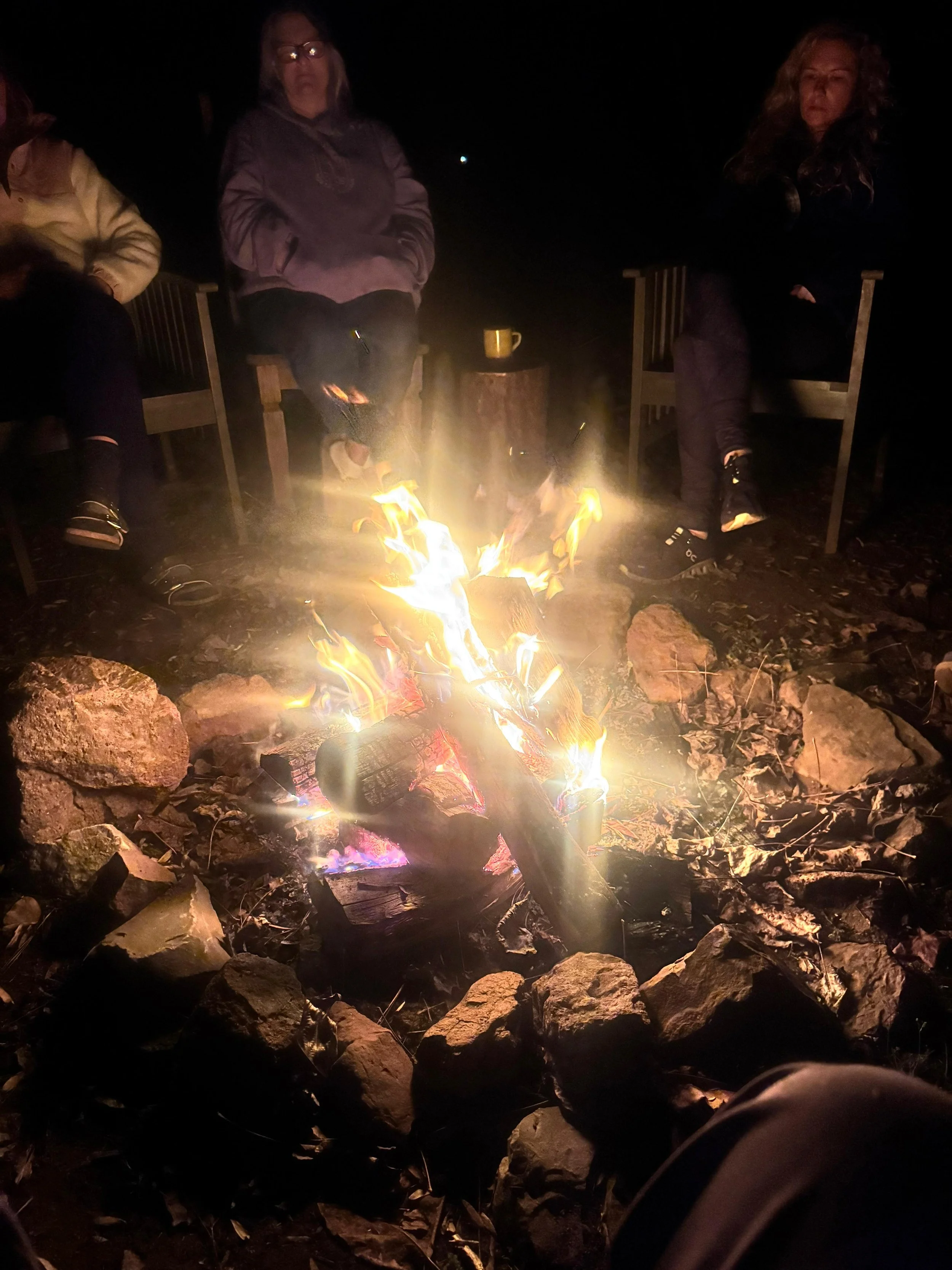 WhatsApp Image 2026-02-24 at 16.08.34.jpeg