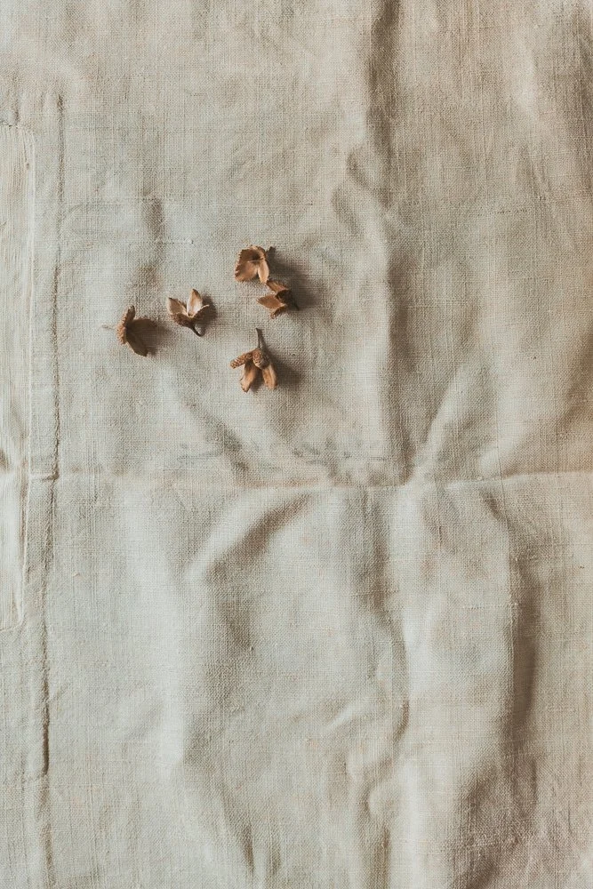 untitled-1070899.jpg