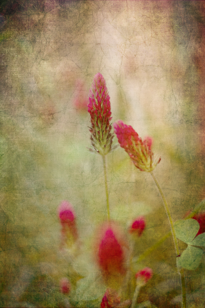20210603-DSCF0205-4-Edit-4.png