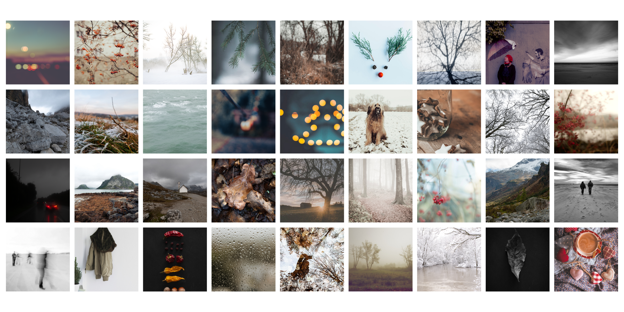 50 shades of winter.png