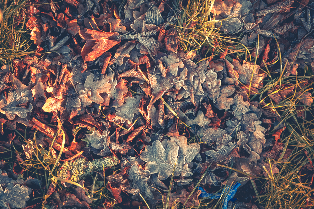 unbenannt-1110653-2.png