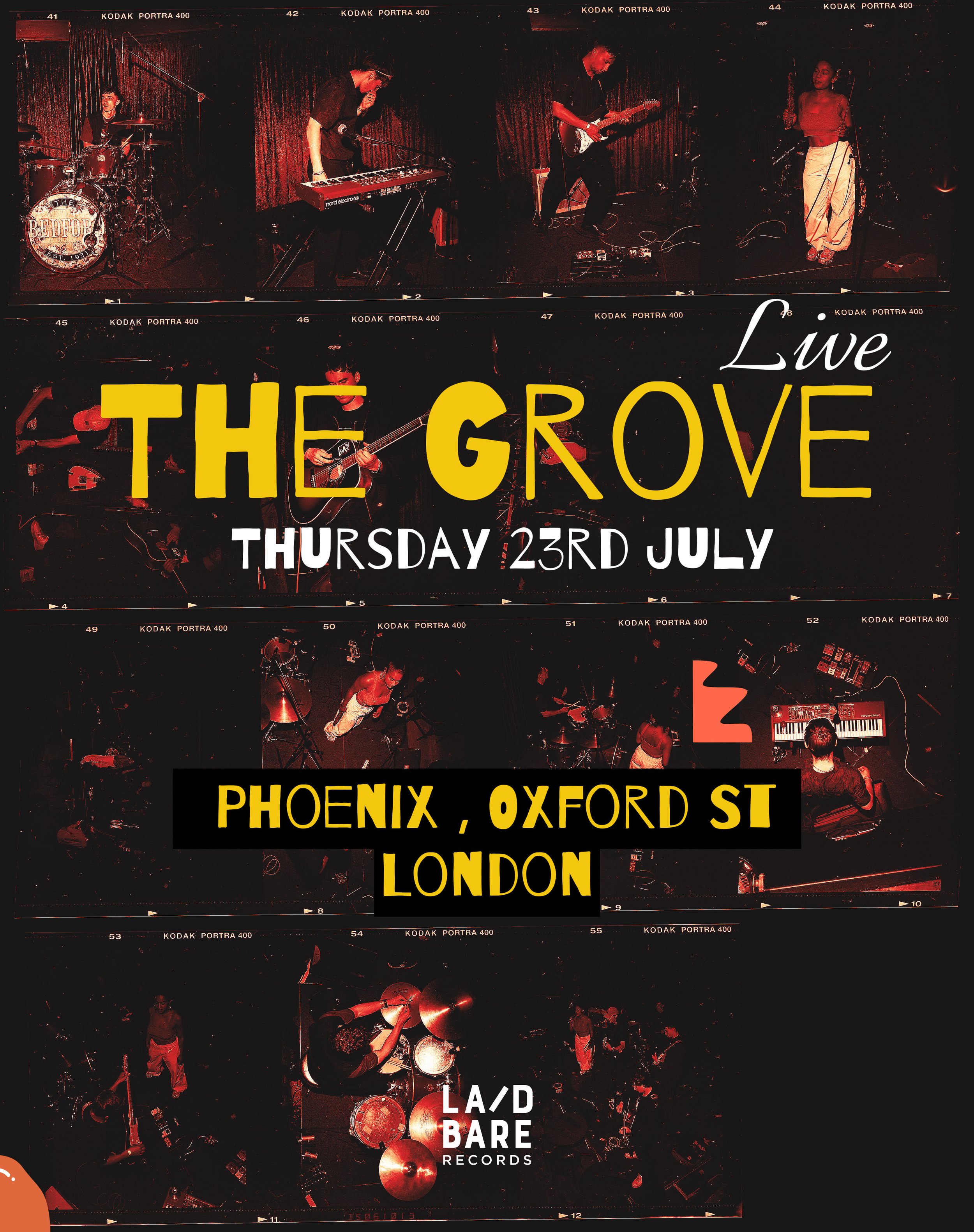 grove.jpg