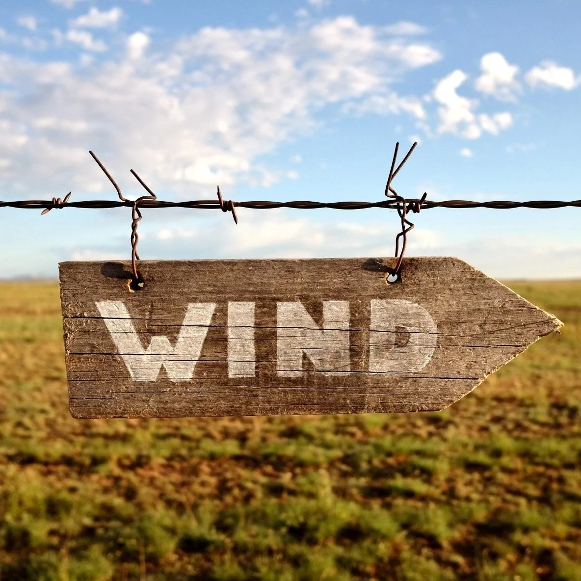 East (WIND #1), 2023
Watercolor on found wood with steel wire, 10.75” x 3.25” 