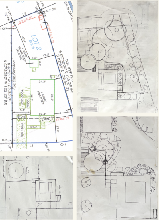 Lawson Lane Landscape Design sketches