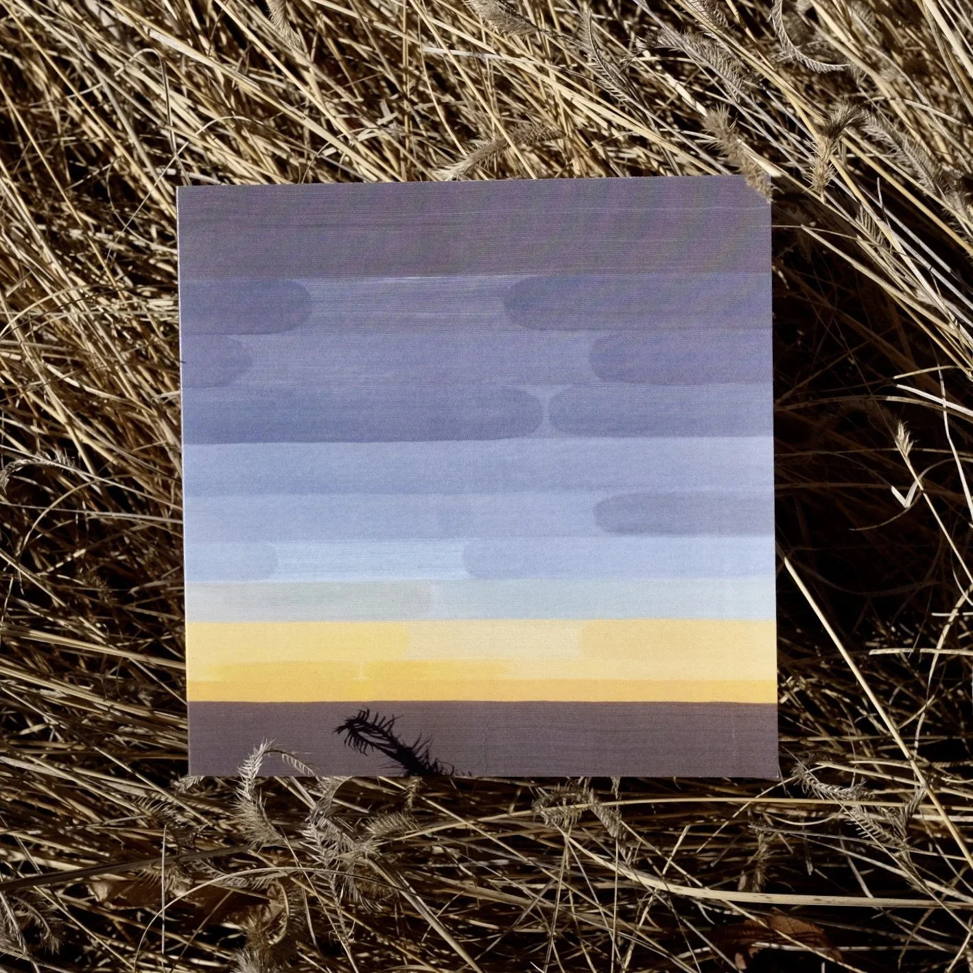 Cards-Sunrise-front-single.jpg