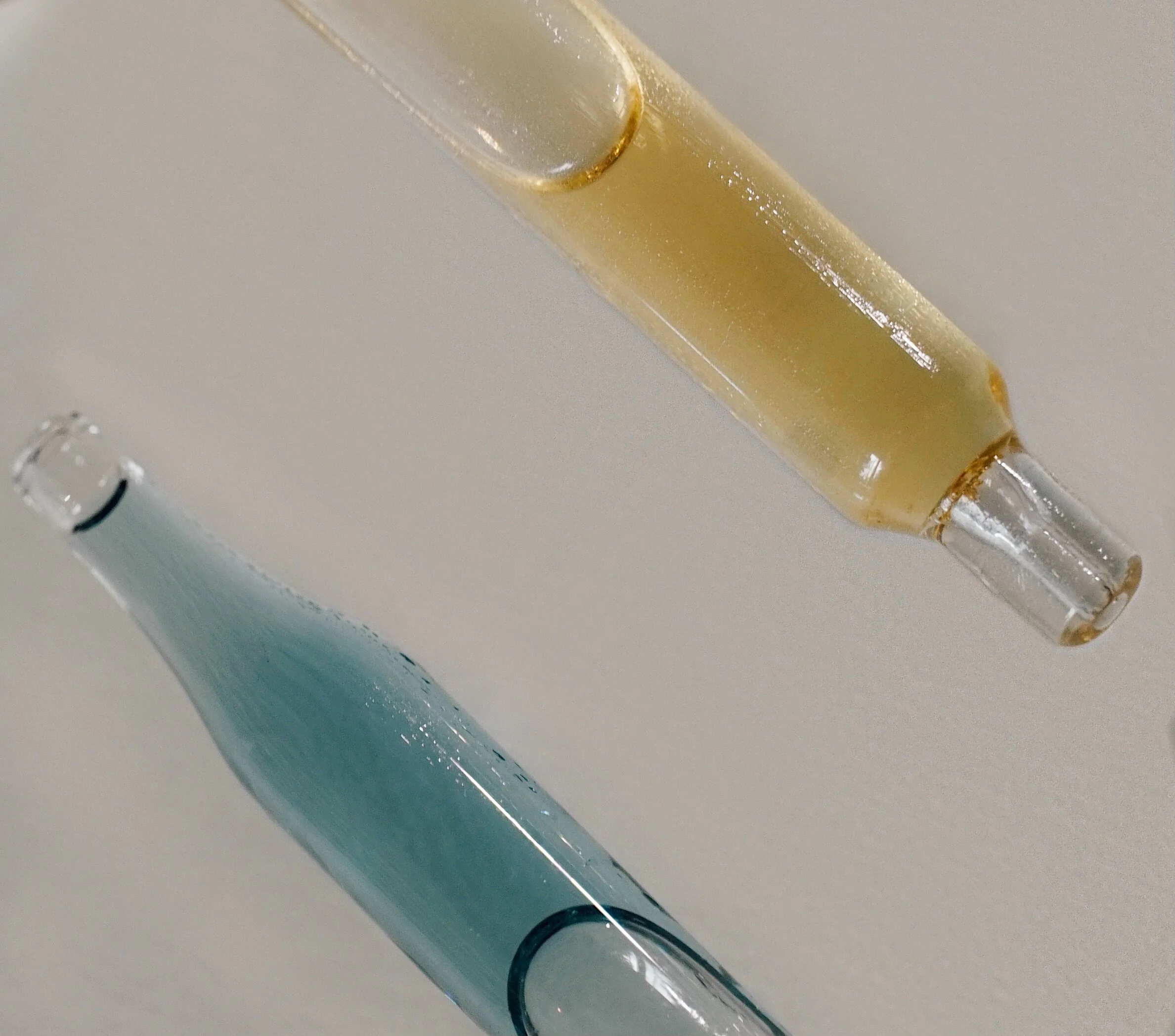 Things That Give Me Serotonin: August Edition