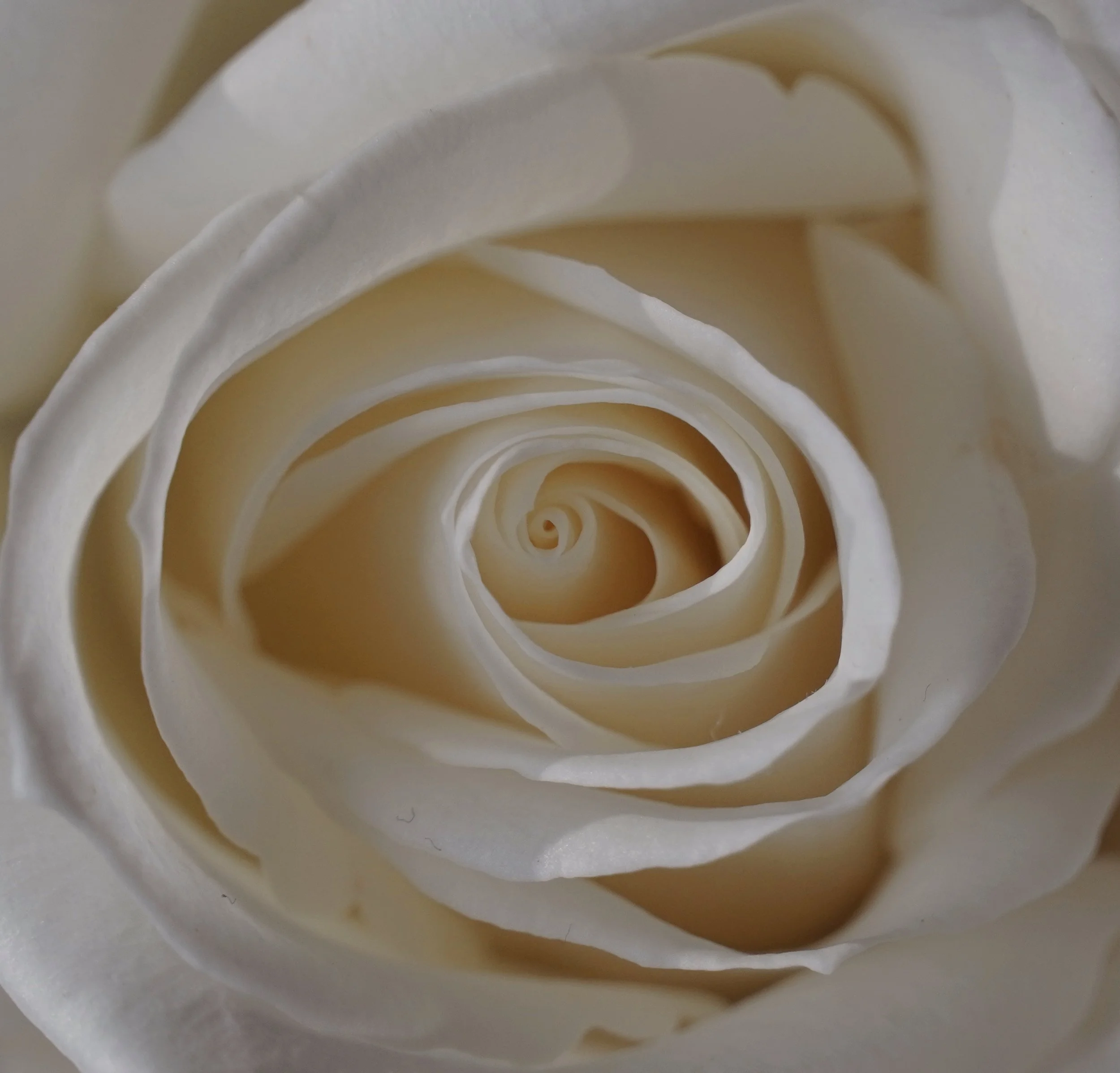 Be Your Own Valentine 