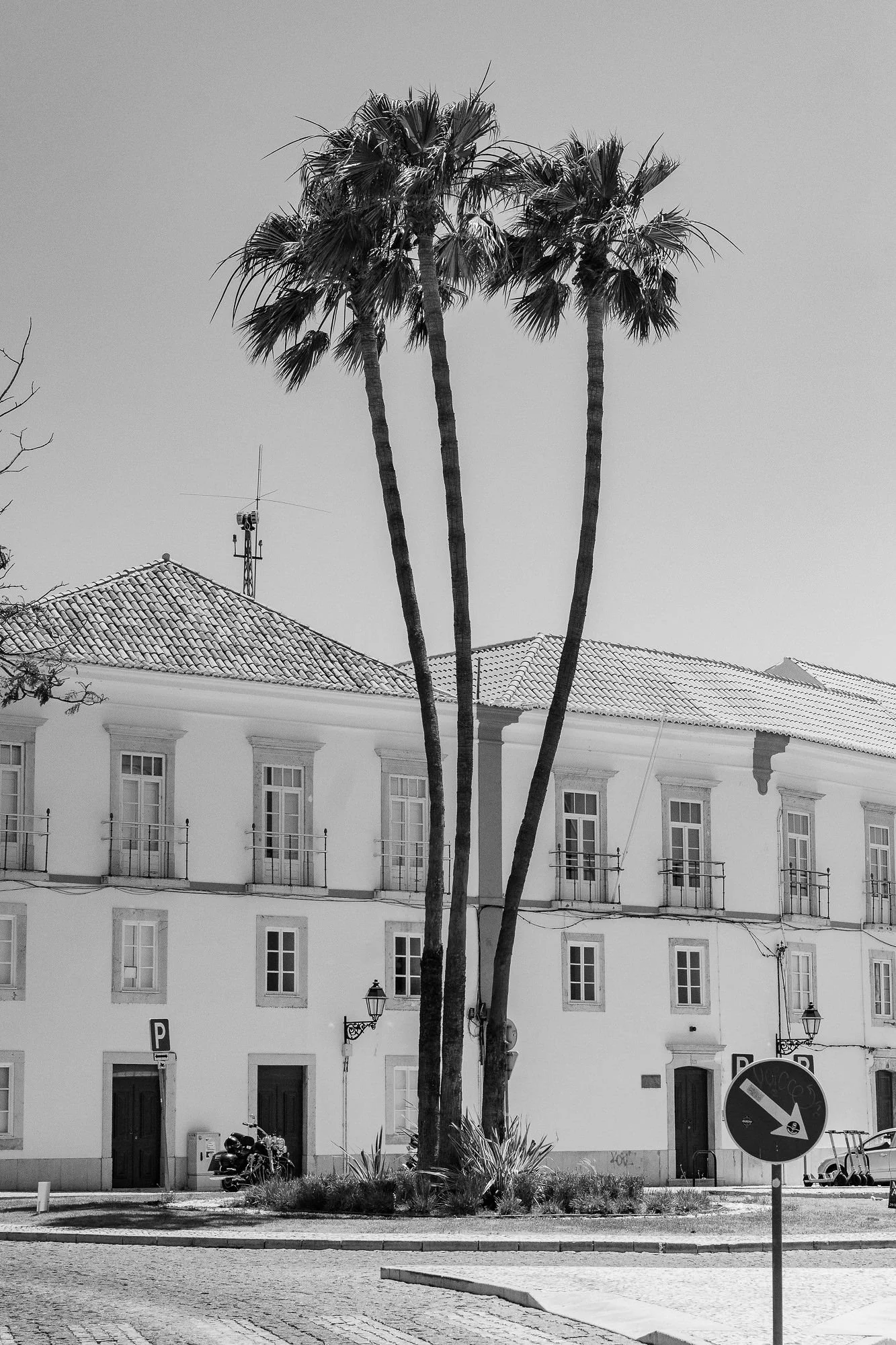 Faro.web.jpg