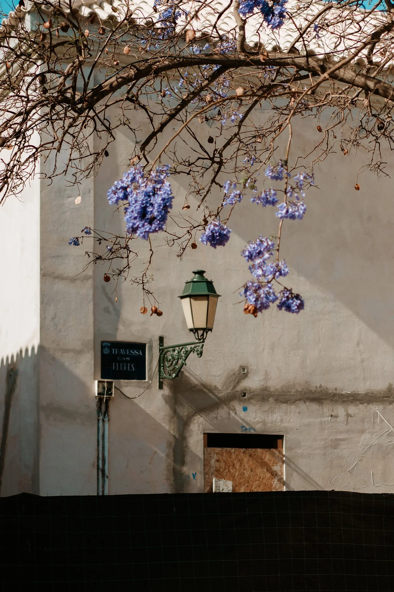 Faro.web-21.jpg