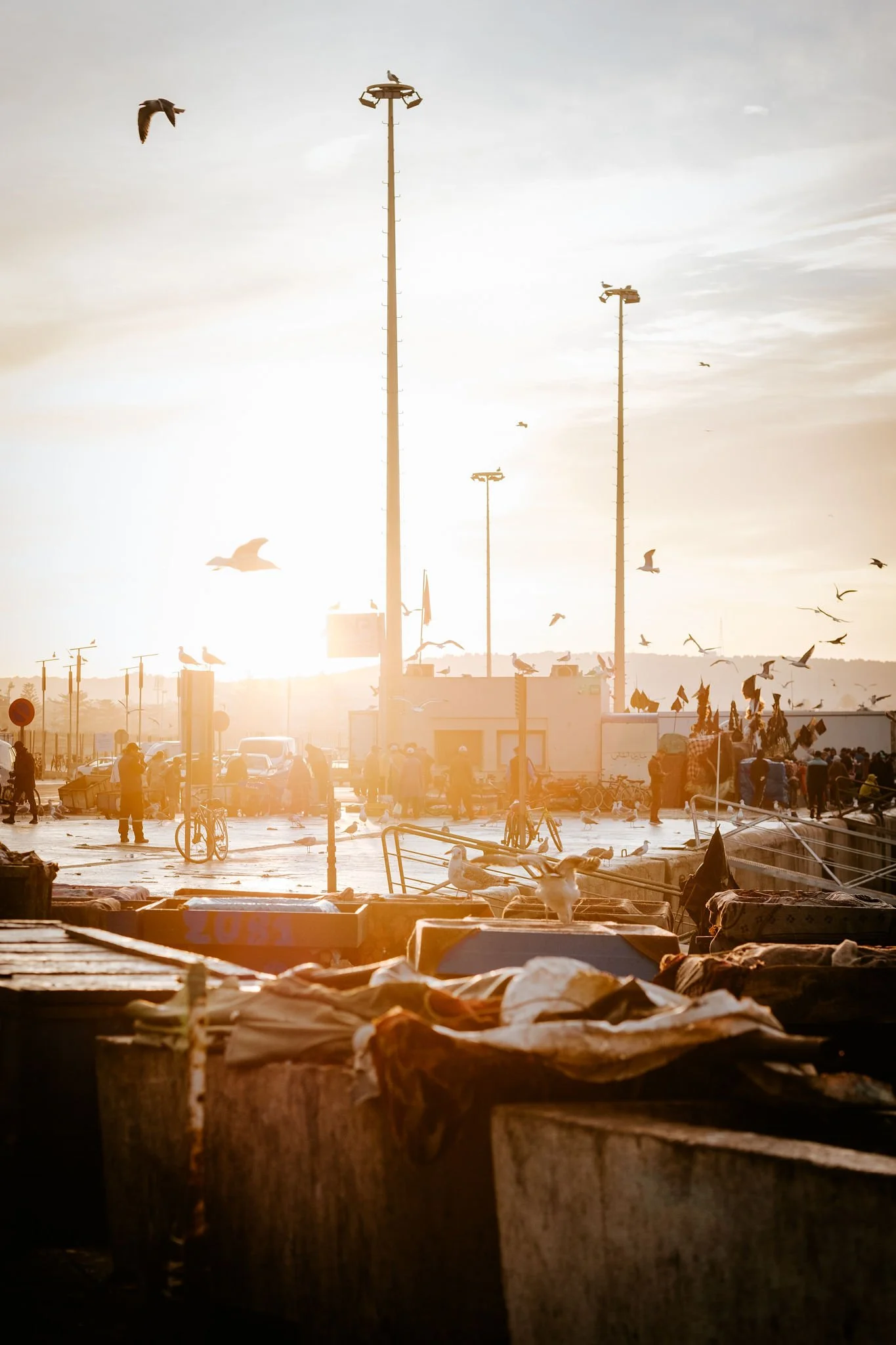 Essaouira2-7.jpg