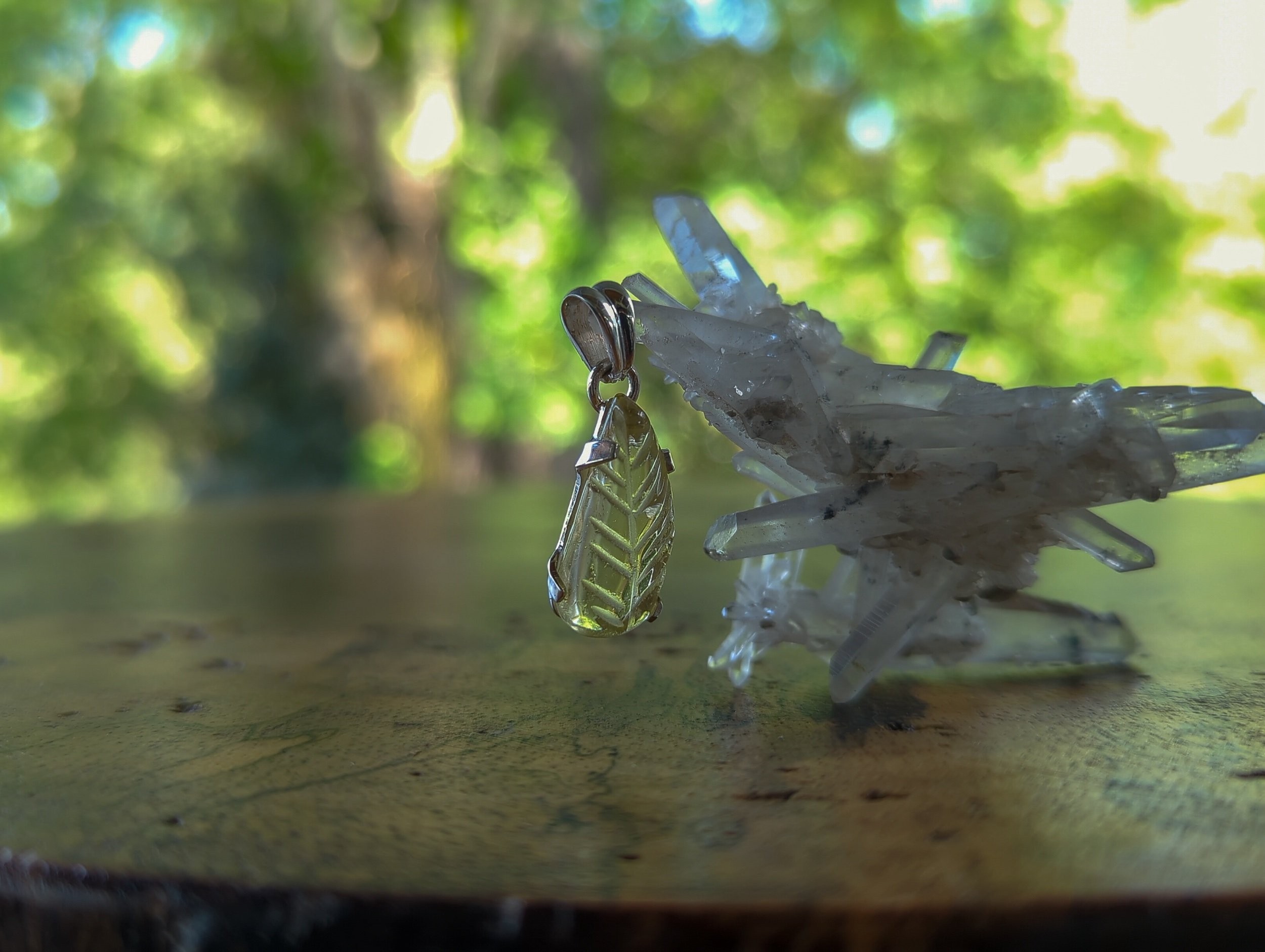 50A0423A-B415-420A-B283-3466E61E5495.jpeg