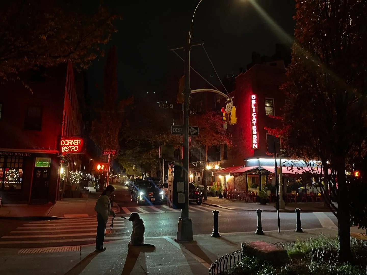 Too much to be grateful for in the past few weeks. Trips to New York, Cincinnati, old friends and new ones, making music, seeing shows, sharing meals, being tired, enjoying life anyway. Gratitude is a muscle I need to stretch more. Happy thanksgiving