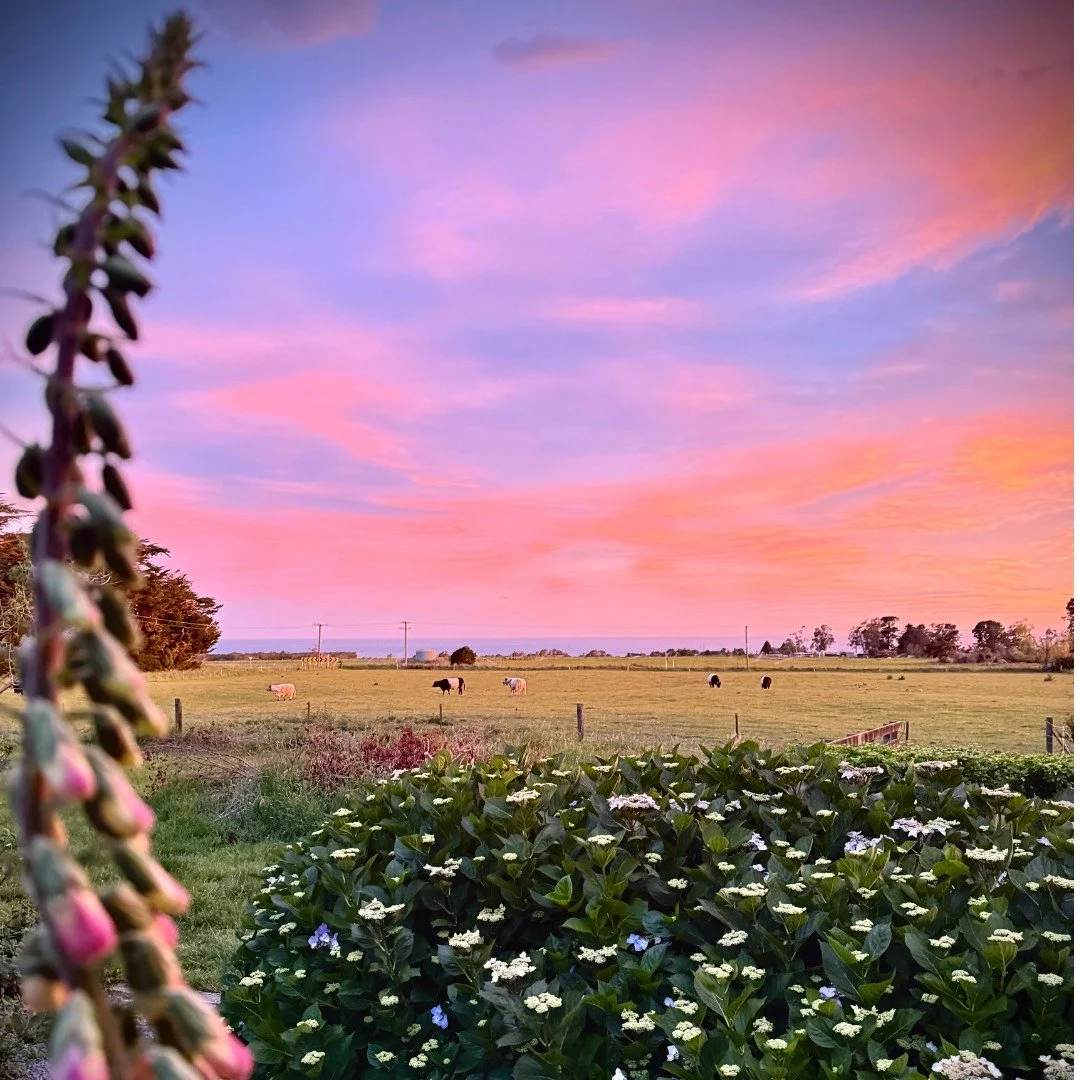 Just another Kaikōura sunset... view from the kitchen to the coast. #dusk #sunset #cloudscape