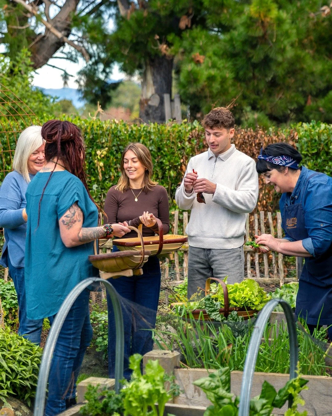 Every great meal starts out here 🌿

There's nothing quite like wandering the garden, crushing herbs between your fingers, tasting leaves straight from the bed and filling the basket with whatever's at its best that day. By the time we head into the 