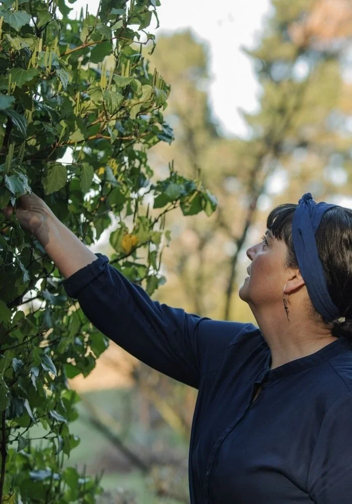 Fiona foraging for kawakawa as part of Hapuku Kitchen's Catch, Forage, Cook experience