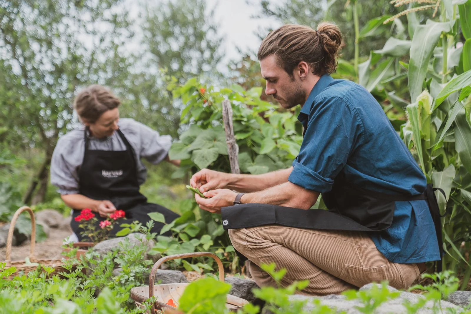 Guests picking fresh produce from the vegetable garden at Hapuku Kitchen, New Zealand