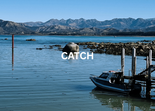 Catch your own with Hapuku Kitchen's Catch & Cook - Kaimoana Experience, New Zealand
