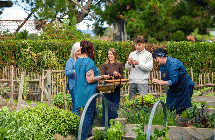 Chef Fiona and guests foraging and harvesting in the Hapuku Kitchen gardens