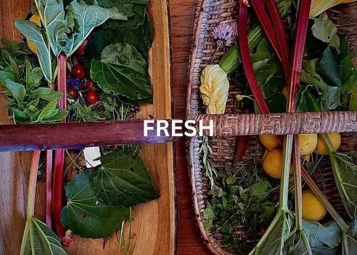 Baskets of Fresh Produce Picked by Guests at Hapuku Kitchen's Forage & Feast experience, New Zealand