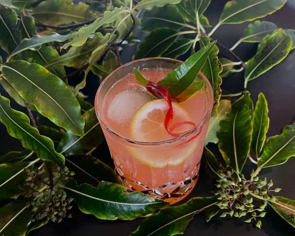 A homemade rhubarb and tārata (lemonwood) shrub from Hapuku Kitchen, Kaikōura