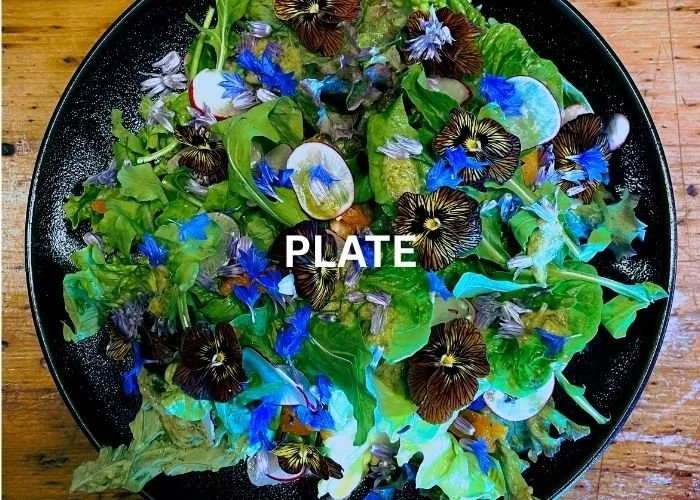 A salad of fresh ingredients just picked from Hapuku Kitchen's gardens