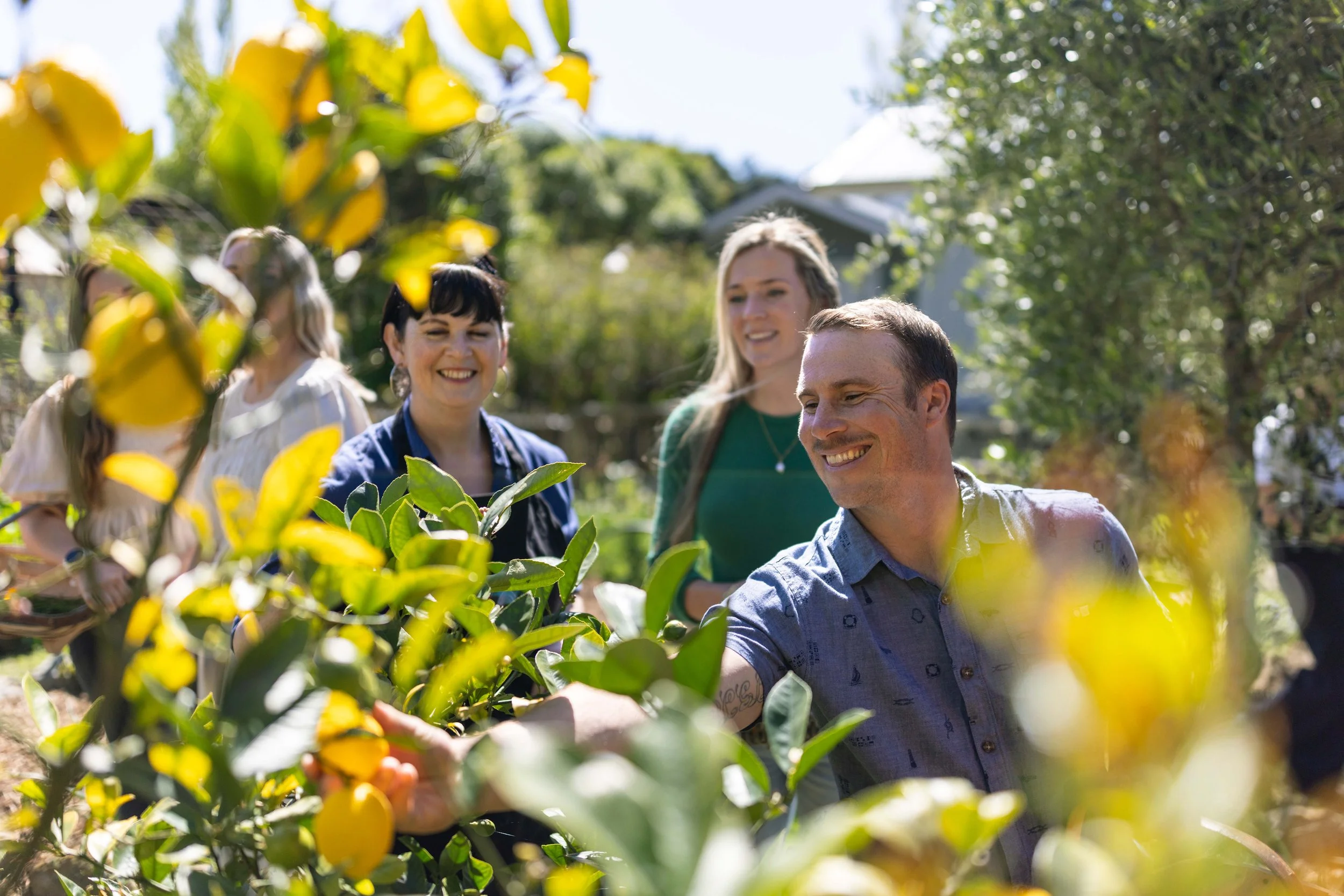 Fiona and guests at Hapuku Kitchen cooking school, picking lemons before their hands-on class, Kaikōura