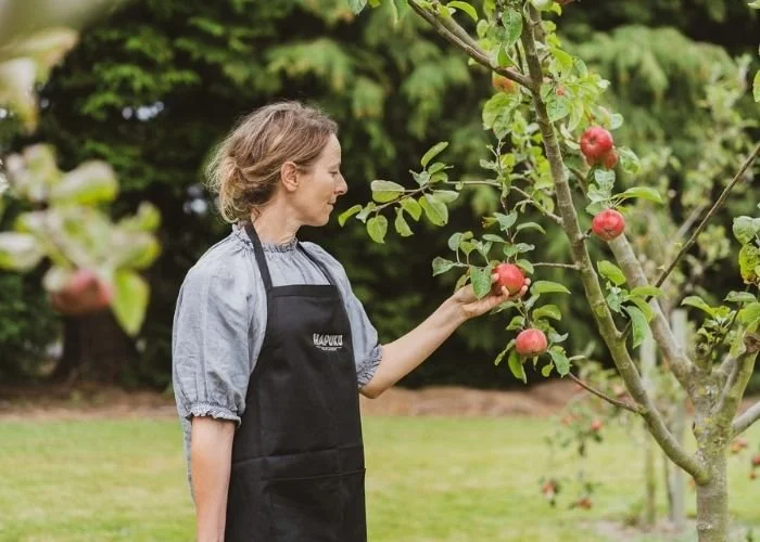 Bridget picking apples in the Hapuku Kitchen orchard, Kaikoura
