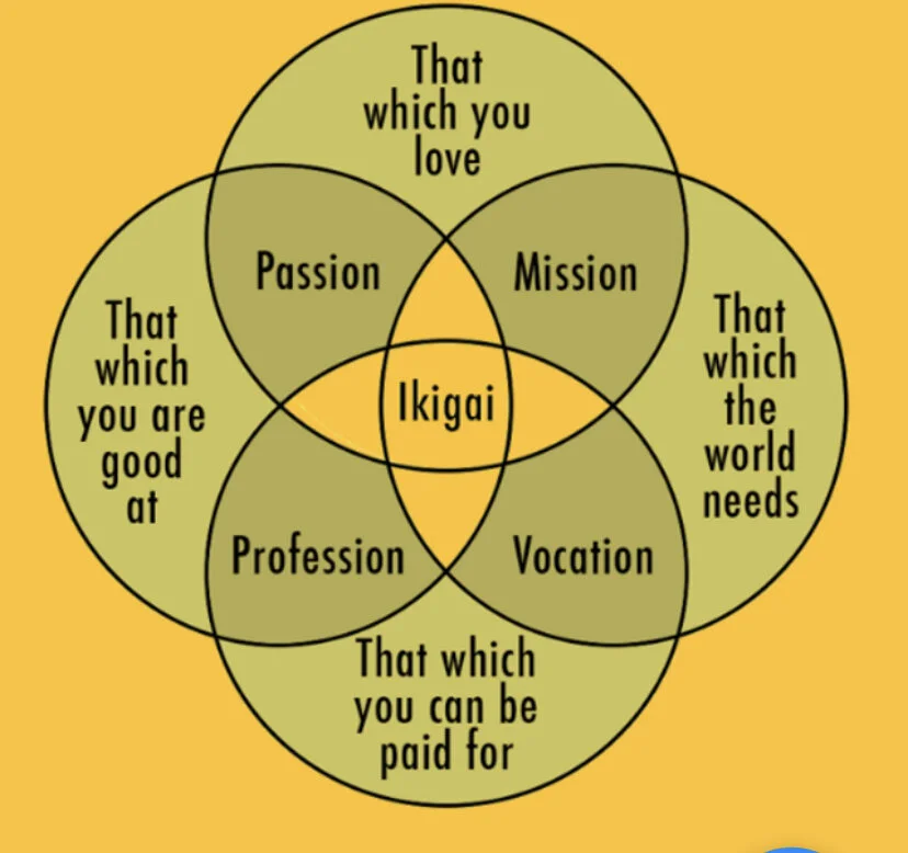 Chase your Ikigai, whatever that ever evolving thing is.jpeg