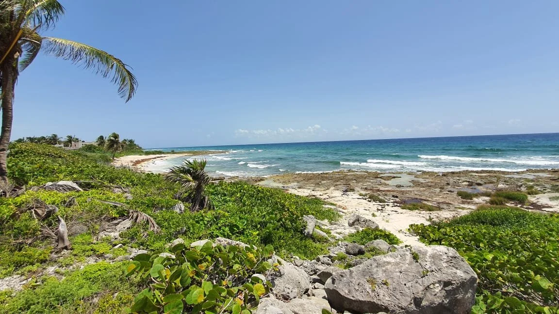 WhatsApp Image 2021-01-22 at 12.53.23.jpeg