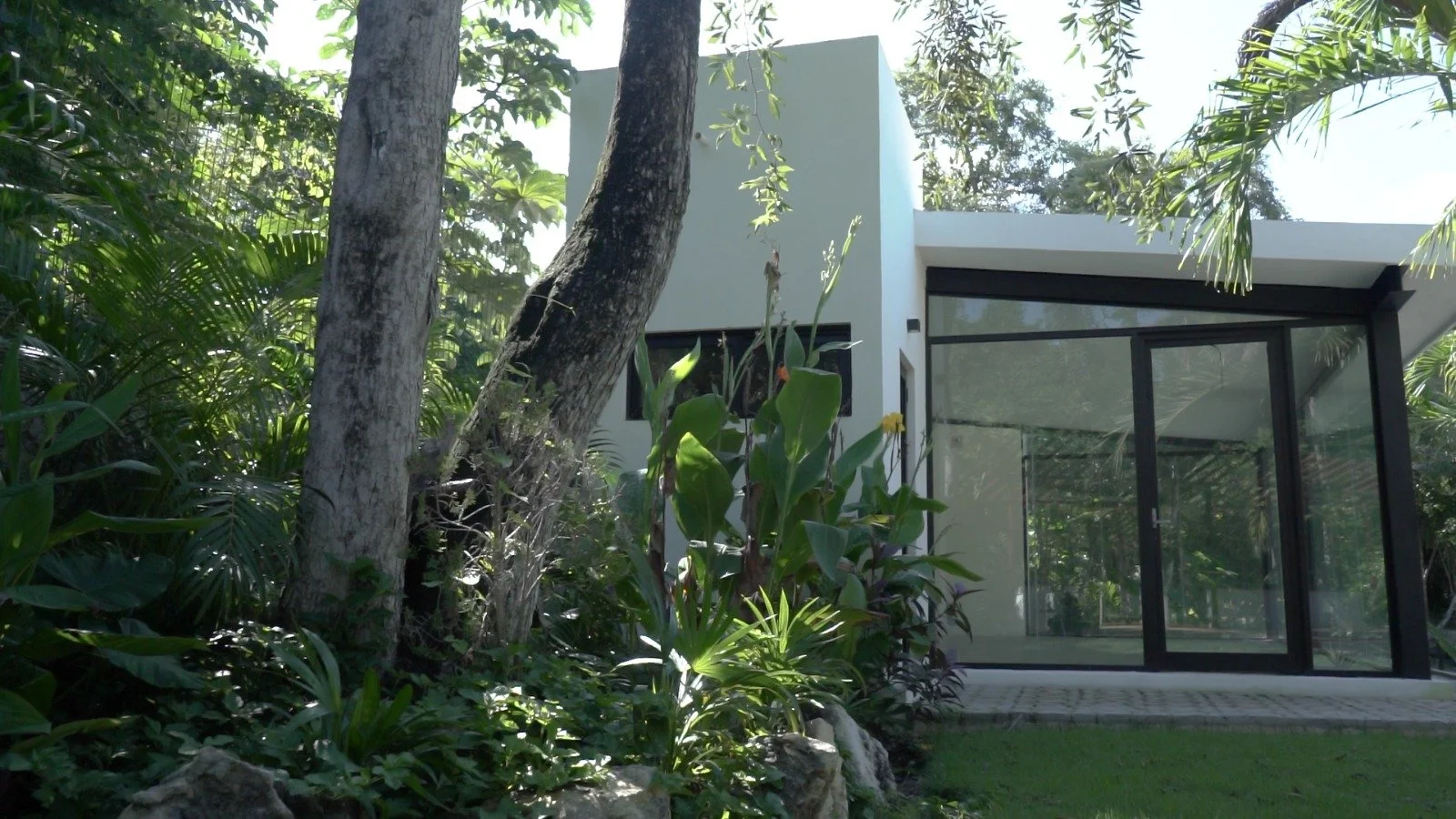 WhatsApp Image 2026-02-16 at 3.43.24 PM.jpeg