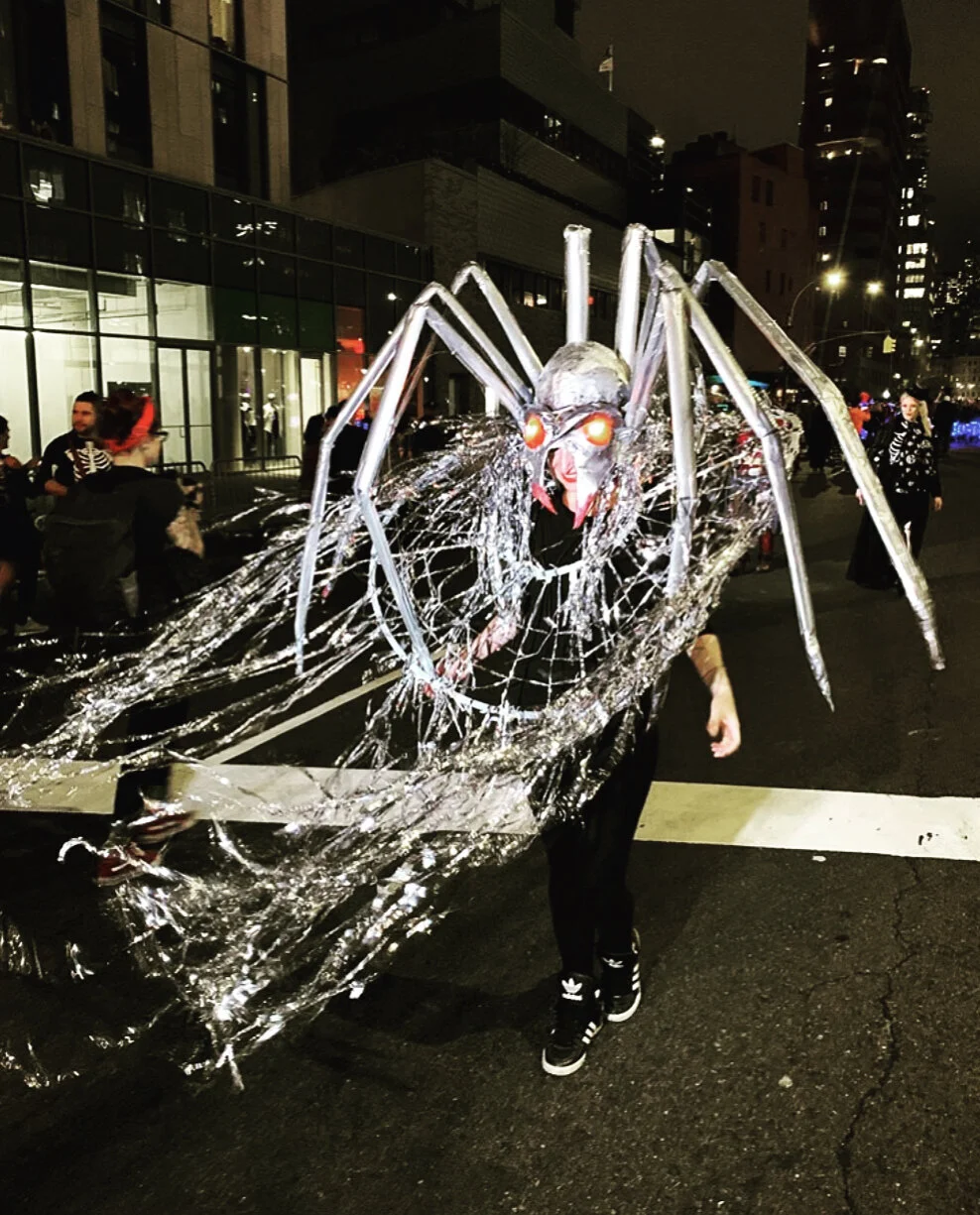 Spider Puppet